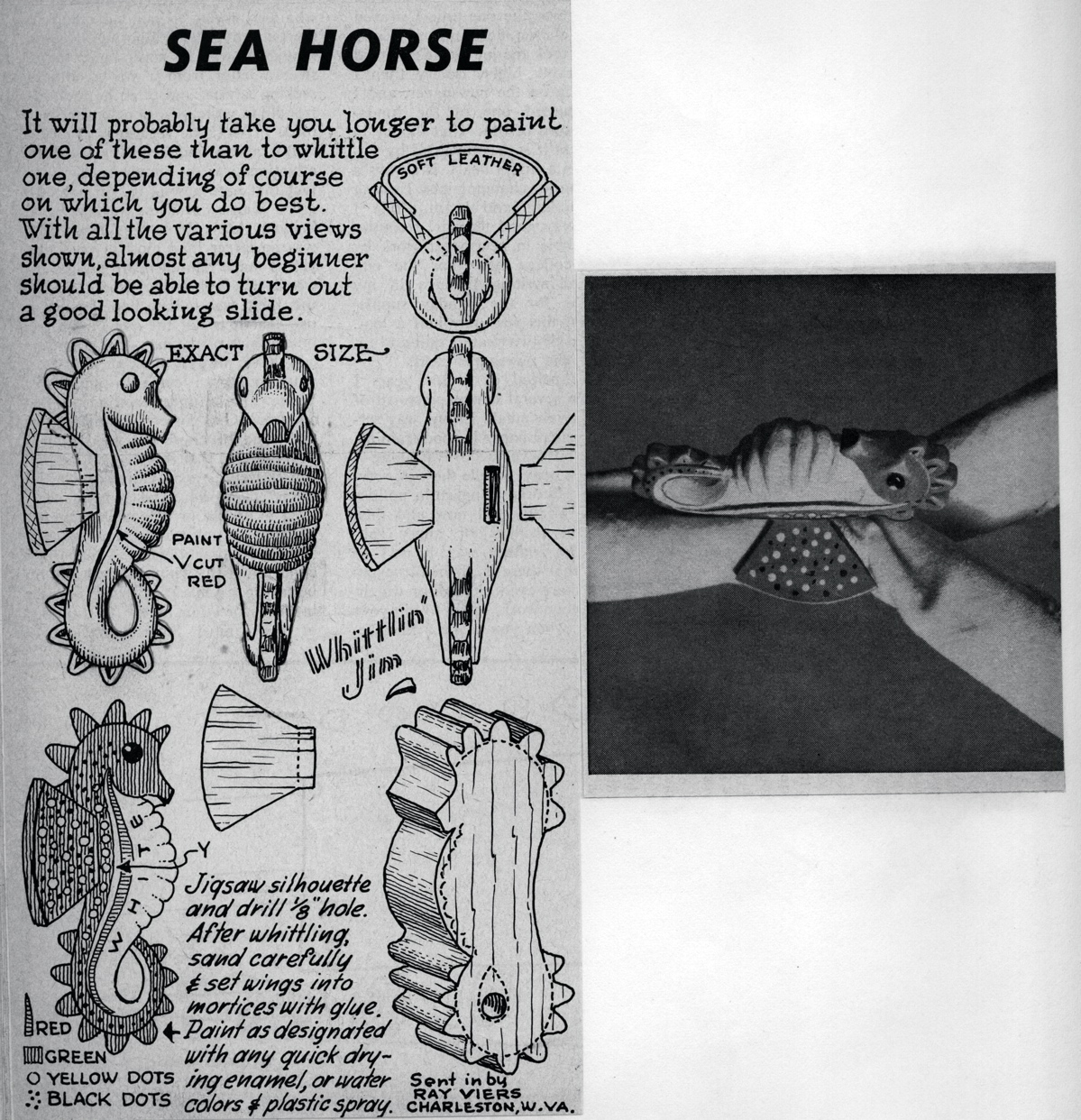 WJ-Seahorse