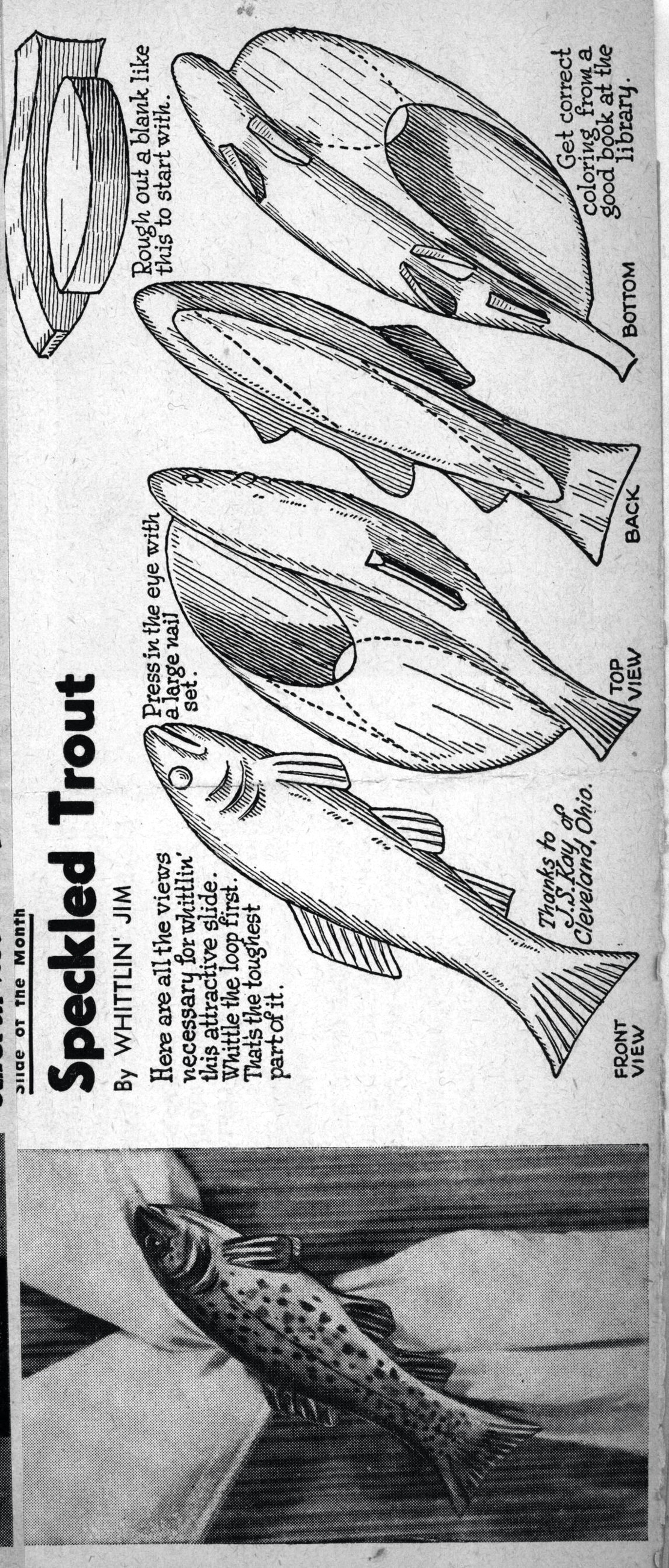 WJ-Speckled-Trout
