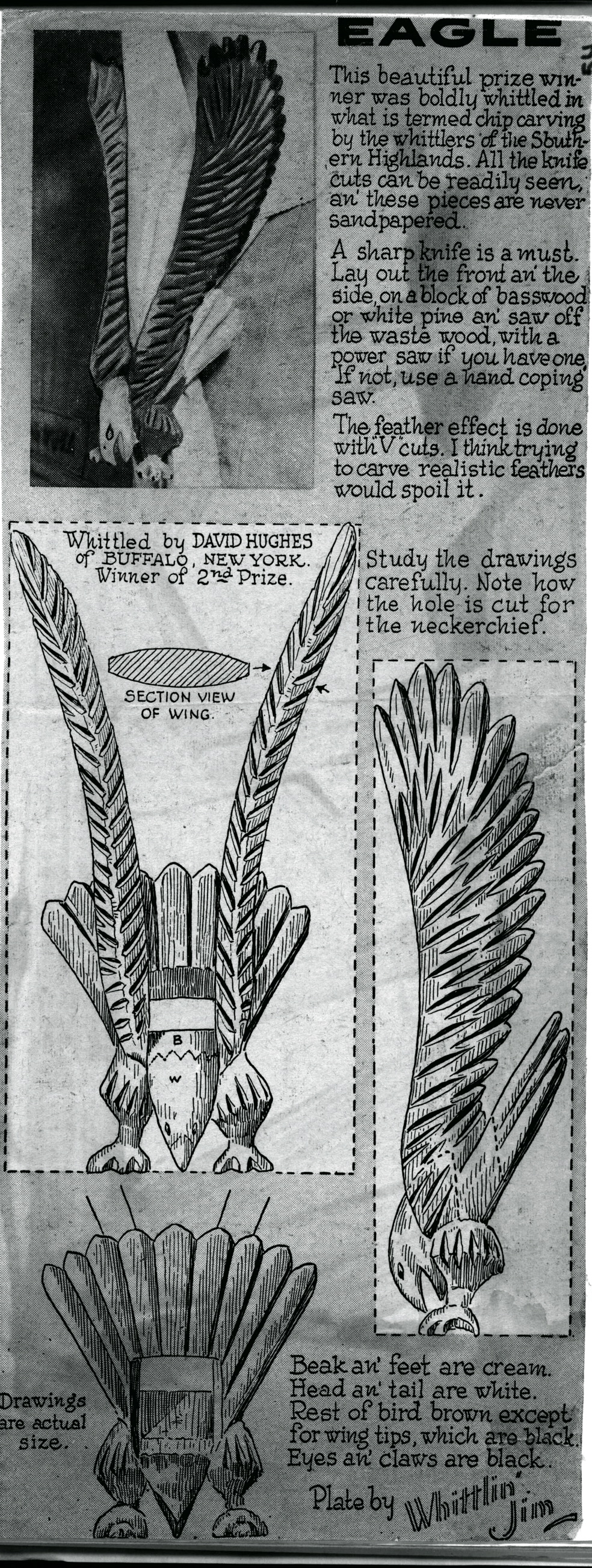 WJ-Eagle