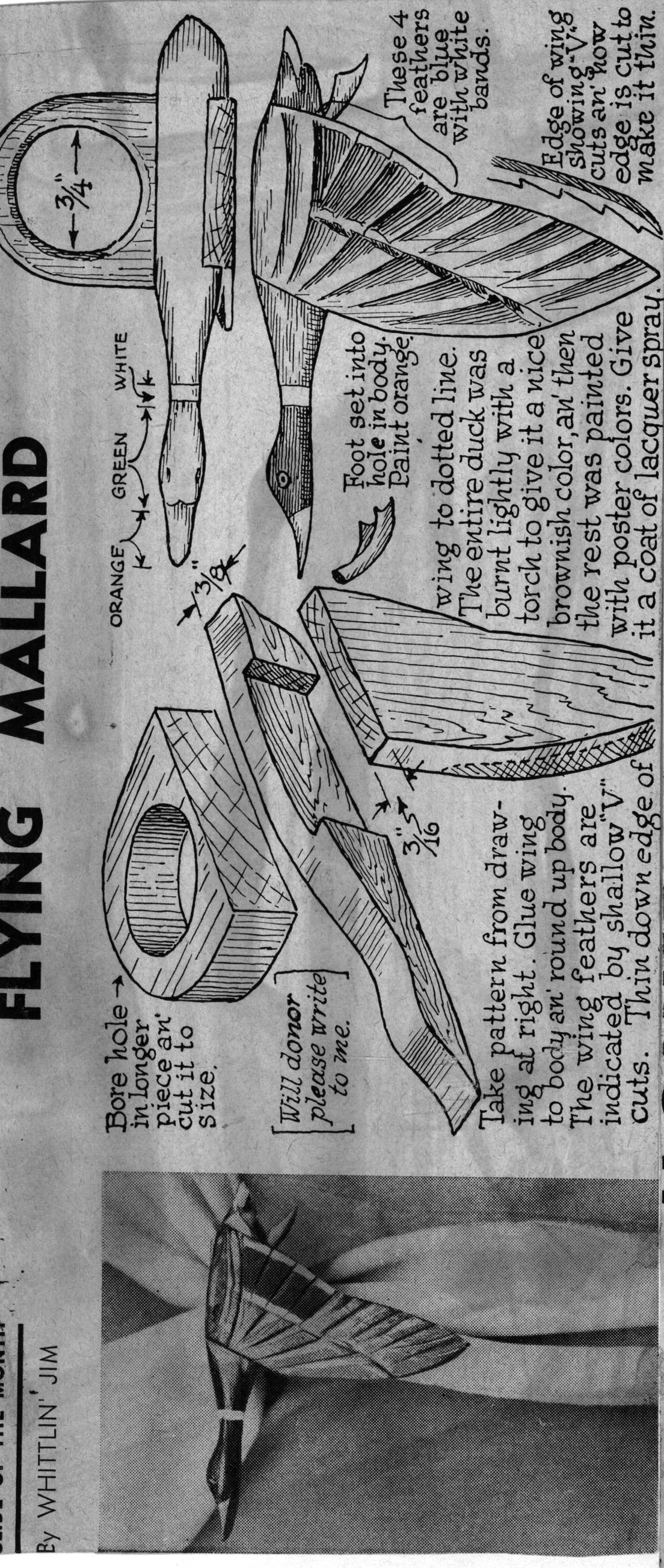 WJ-Flying-Mallard
