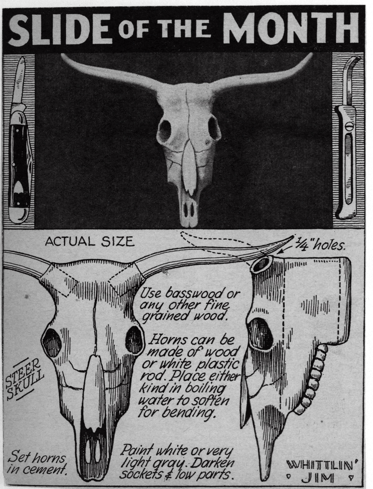 WJ-Longhorn-Skull