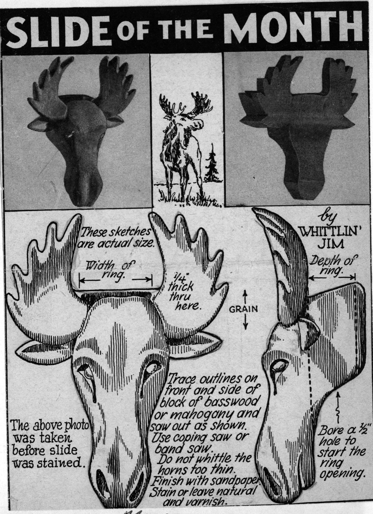 WJ-Moose