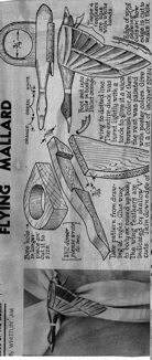WJ-Flying-Mallard