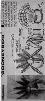 WJ-Gooney-Bird