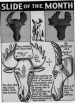 WJ-Moose