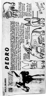 WJ-Pedro